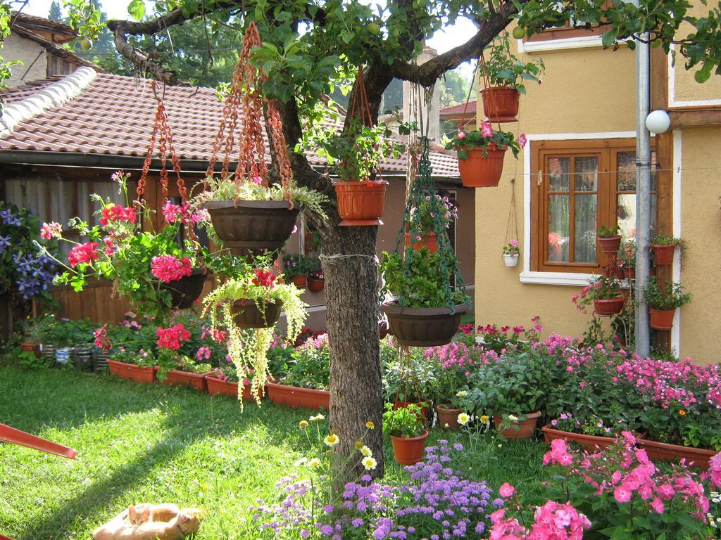 Guest House Bashtina Striaha Копривштиця Екстер'єр фото